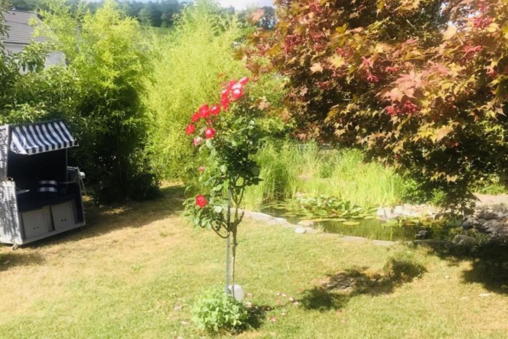 Modernes Ferienhaus Sauerblick Langsur Dış mekan fotoğraf